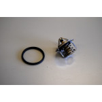 BorgWarner (Wahler) Thermostat, Kühlmittel